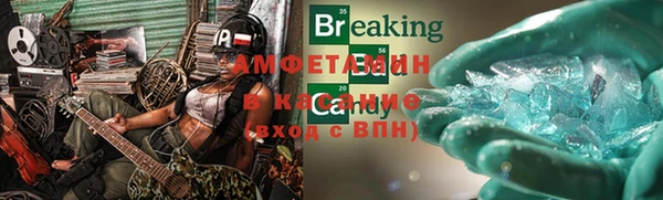 твердый Аркадак