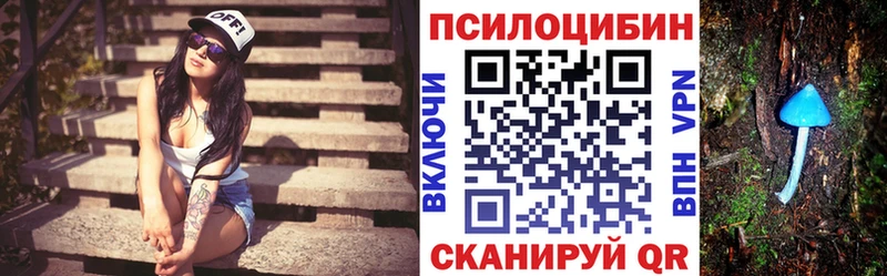 Псилоцибиновые грибы MAGIC MUSHROOMS  купить наркотик  Белокуриха 